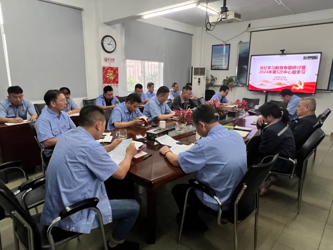 黨紀(jì)學(xué)習(xí)教育 | 公司黨委召開專題學(xué)習(xí)研討